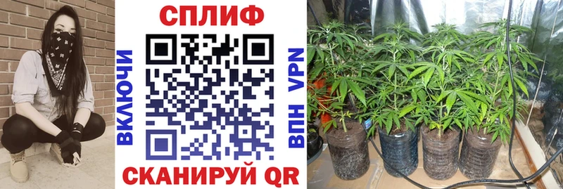 ссылка на мегу ТОР  Малоярославец  Шишки марихуана AK-47  где продают наркотики 